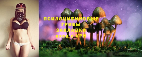 jwh Нефтекумск
