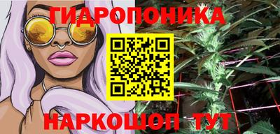 МДПВ Лесосибирск