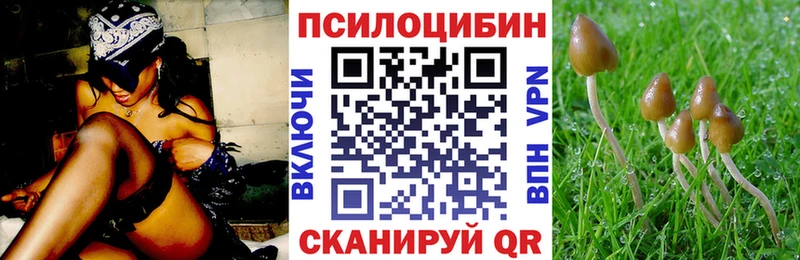 kraken сайт  Воронеж  Галлюциногенные грибы мухоморы 