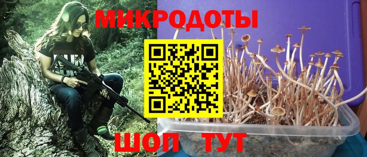 Галлюциногенные грибы GOLDEN TEACHER  закладки  Воронеж  Вход с VPN 